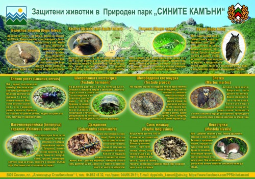 NEW_PLAKAT_2-1_JIVOTNI