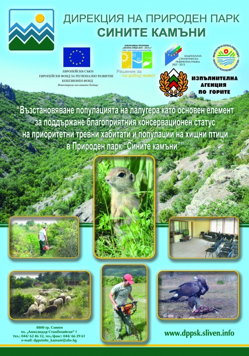 PECHAT_PLAKAT_SINITE KAMANI
