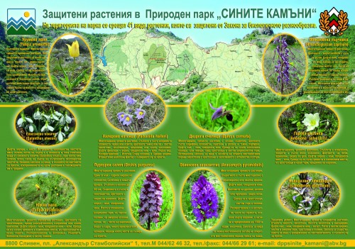 PLAKAT_2-1_EXPO